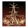 Picture for category Chandeliers