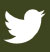 Twitter Logo