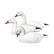 Picture for category Light Goose Decoys